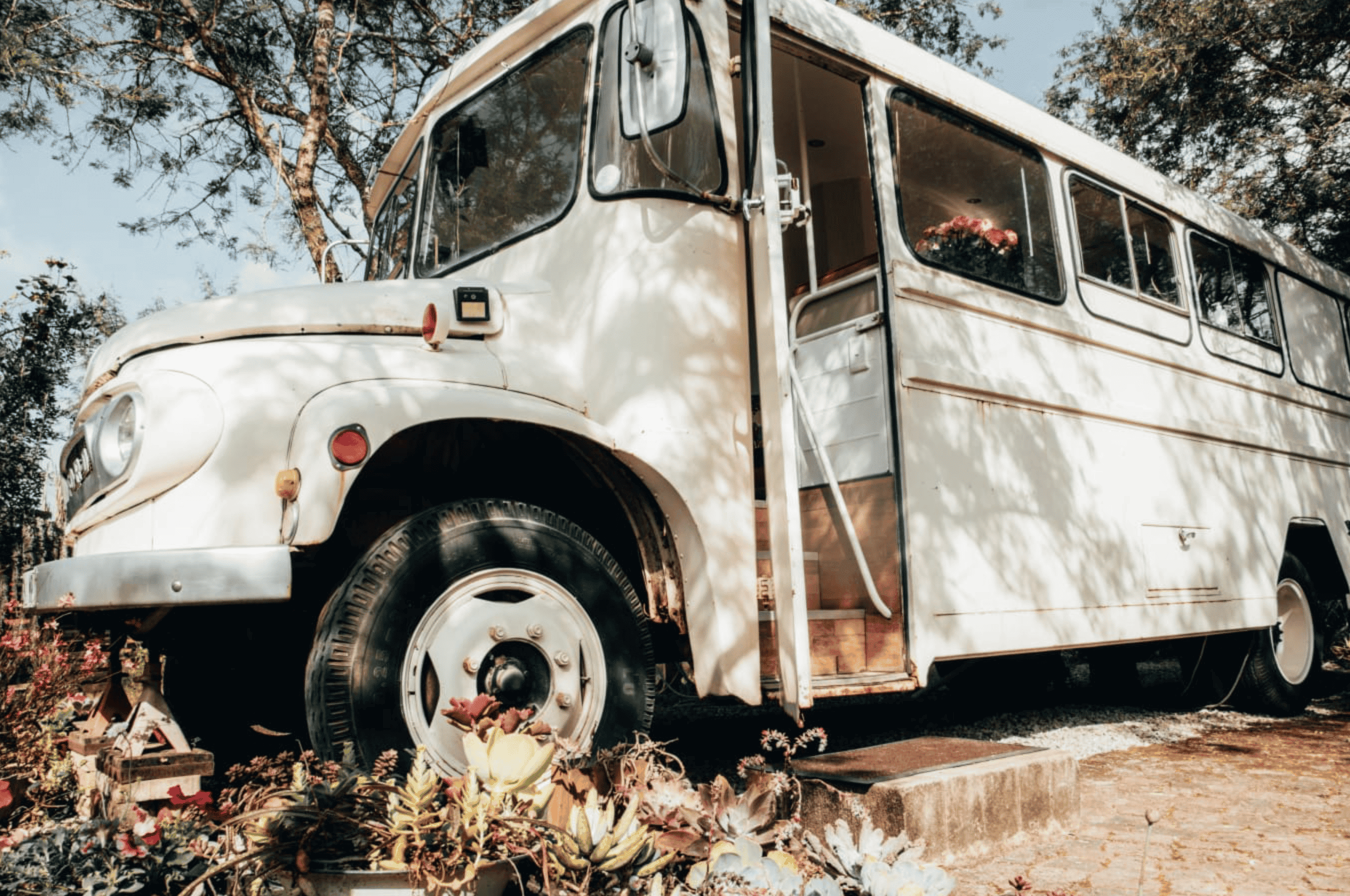 patsy the bus unique accommodation