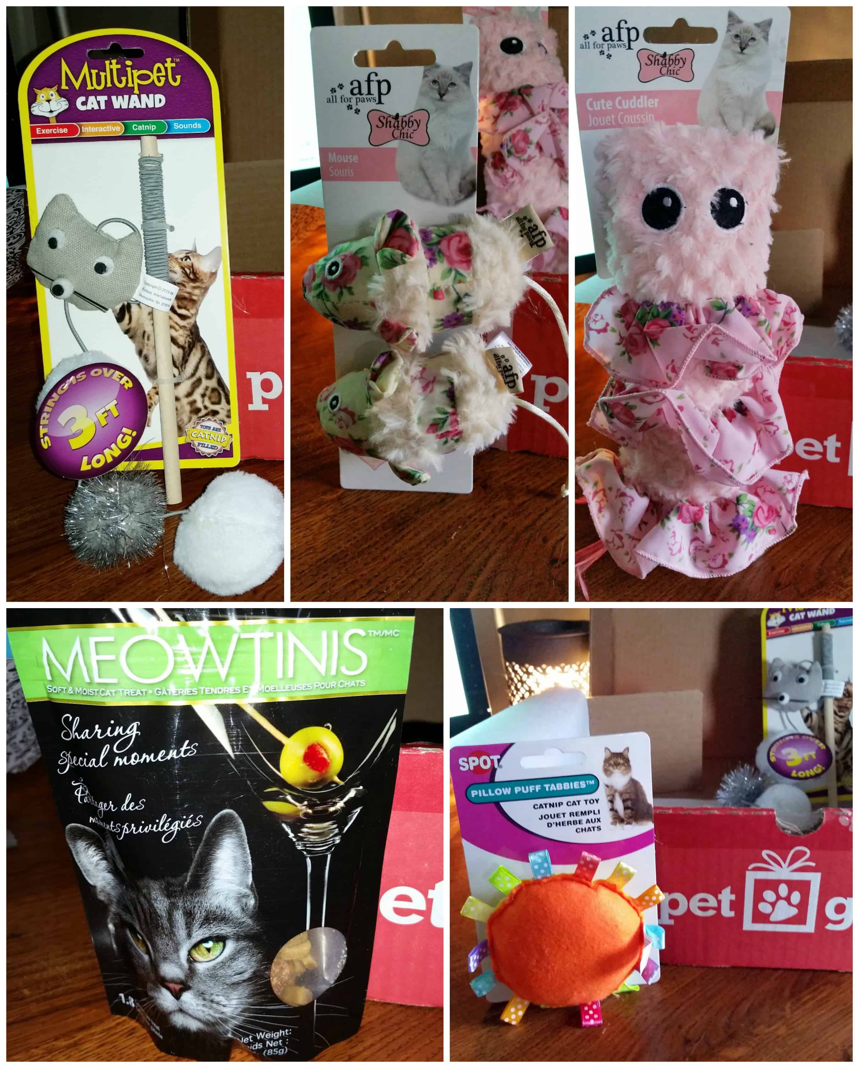 PetGiftBox Pet Subscription Box #Review 1