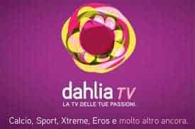 Calcio in Tribunale: si gioca la partita dei diritti ex-Dahlia | Digitale terrestre: Dtti.it