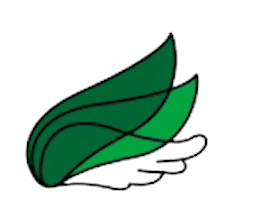 flavicon fluegge-blog.de ohne Hintergrund