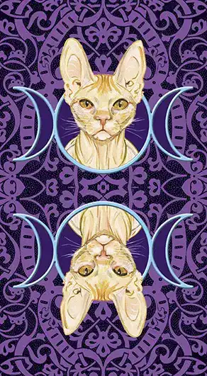 Tarocchi dei Gatti Pagani - immagine 5