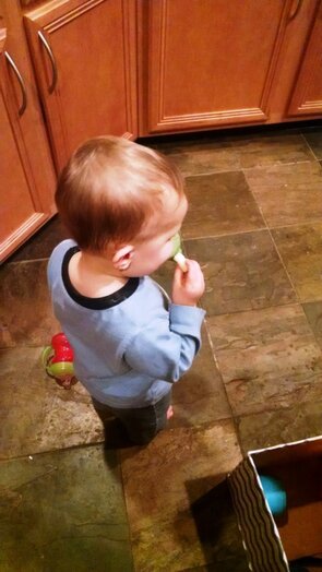 healthy toddler snacking gerber lil beanies
