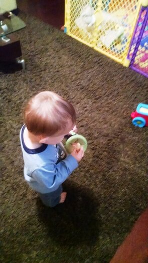 healthy toddler snacking gerber lil beanies