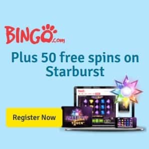 Bingo Casino banner