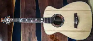 Van Gundy Customs — guitar repair shop in Ashley, Ohio