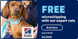 FREE Dog or Cat Microchipping at Petco
