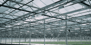 Greenhouse LED lights