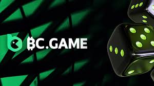 Experience the Thrill of BC.Game Online Casino 704057098