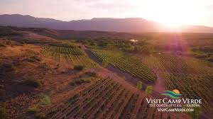 Landscape view of a vineyard in the Verde Valley of Arizona
