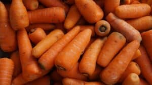 Carottes croquantes Recharge carottes croquantes