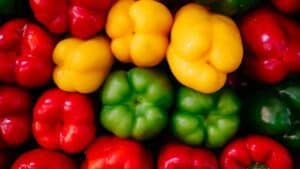 Mini-poivrons Recharge mini-poivrons