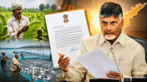 AP Aqua Tobacco Farmers Crisis: పొగాకు, ఆక్వా రంగానికి పెను ముప్పు.. కేంద్ర మంత్రులకు సీఎం చంద్రబాబు అత్యవసర లేఖలు..