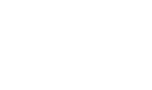 Prospect Rock Partners logo