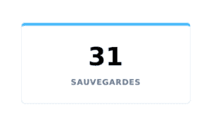 Les sauvegardes