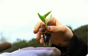 Jeune pouce tenue en main