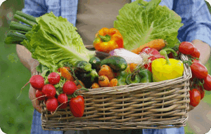 panier de ffruits et legumes