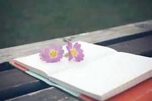 Negatieve eigenschappen positief ombuigen doe je met deze makkelijke oefening. Je hebt er een schrift of notitieblok voor nodig en een pen. Op de foto een schrift met 2 paarse bloemen erop.
