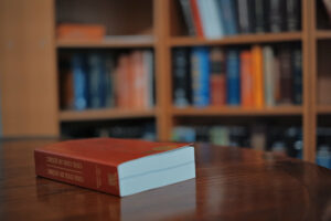 Read more about the article Marie Madelin on Radio Canada explaining Tutorship and Curatorship