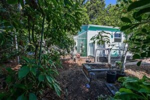 1404 Felton Street - Backyard Garden