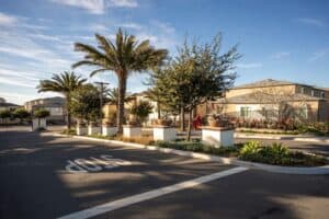 Gated entrance and resort-style streetscape of Playa Del Sol featuring palm trees and modern architecture