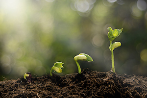 Three Broad Steps Towards Purpose-Driven Action