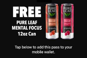 FREE Pure Leaf Mental Focus 12 oz Can