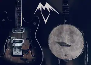 Anthem Music And Vintage — guitar repair shop in Durham, North Carolina