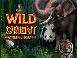 Wild Orient slot game | Respin feature & bonuses | Microgaming Casino