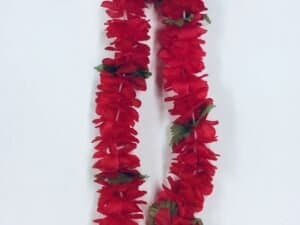 Aloha Hawaii Lei, Baby Carnation Red