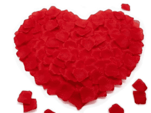 Decortive Rose Flower Petals