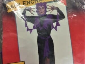 Lady Enchantress