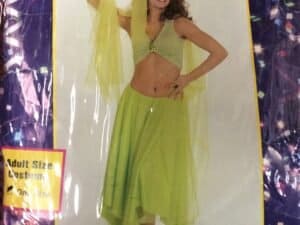 Harem Dancer