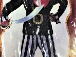 Pirate Boy Costume, Pirate of the Seven Seas Costume