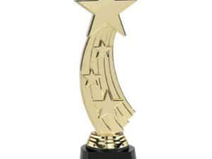 Hollywood Star Award