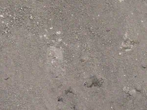 5-Yards Topsoil (Delivered)