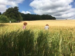 OLD AMERSHAM: Liam and Santiago exploring the field