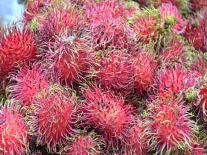 Rambutan, chineese lychee on Madagascar