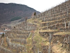hirtzberger-11.jpg