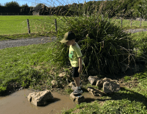 Glessener Mühlenhof – Natur und Tiere für Kinder