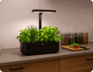 potager cultive noir mis en situation