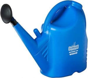 Rainmaker Watering Can