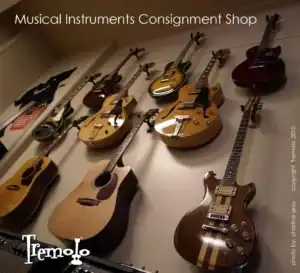 Tremolo Guitar Shop — guitar repair shop in Kalamazoo, Michigan