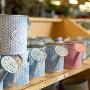 Tin Watering Can Pots