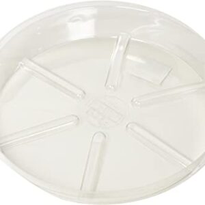 Clear plastic round tray with compartments.