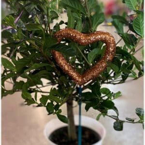 Copper heart-shaped decoration hanging on a green plant.