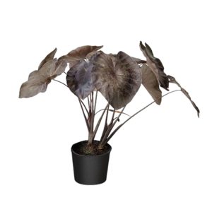 Artificial potted plant with dark, broad leaves.