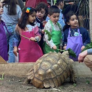 Children wearing colorful aprons watch a large tortoise.