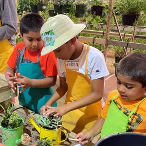Children planting seedlings in a garden together.