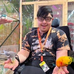Person sitting with two colorful parrots on hands outdoors.
