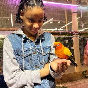 A girl holding a colorful bird indoors with a smile.